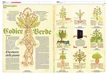 Herbarium of Trento – Priuli & Verlucca, editori – Museo provinciale del Castello del Buonconsiglio (Trento, Italy)