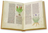 Herbolaire – Est. 28 = alfa M. 5. 9 – Biblioteca Estense Universitaria (Modena, Italy) Facsimile Edition