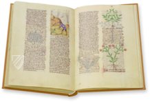 Herbolaire – Imago – Est. 28 = alfa M. 5. 9 – Biblioteca Estense Universitaria (Modena, Italy)