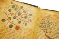 Herbolarium et Materia Medica – AyN Ediciones – ms. 296 – Biblioteca Statale di Lucca (Lucca, Italy)