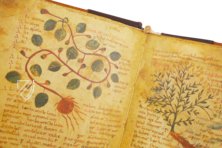 Herbolarium et Materia Medica – ms. 296 – Biblioteca Statale di Lucca (Lucca, Italy) Facsimile Edition