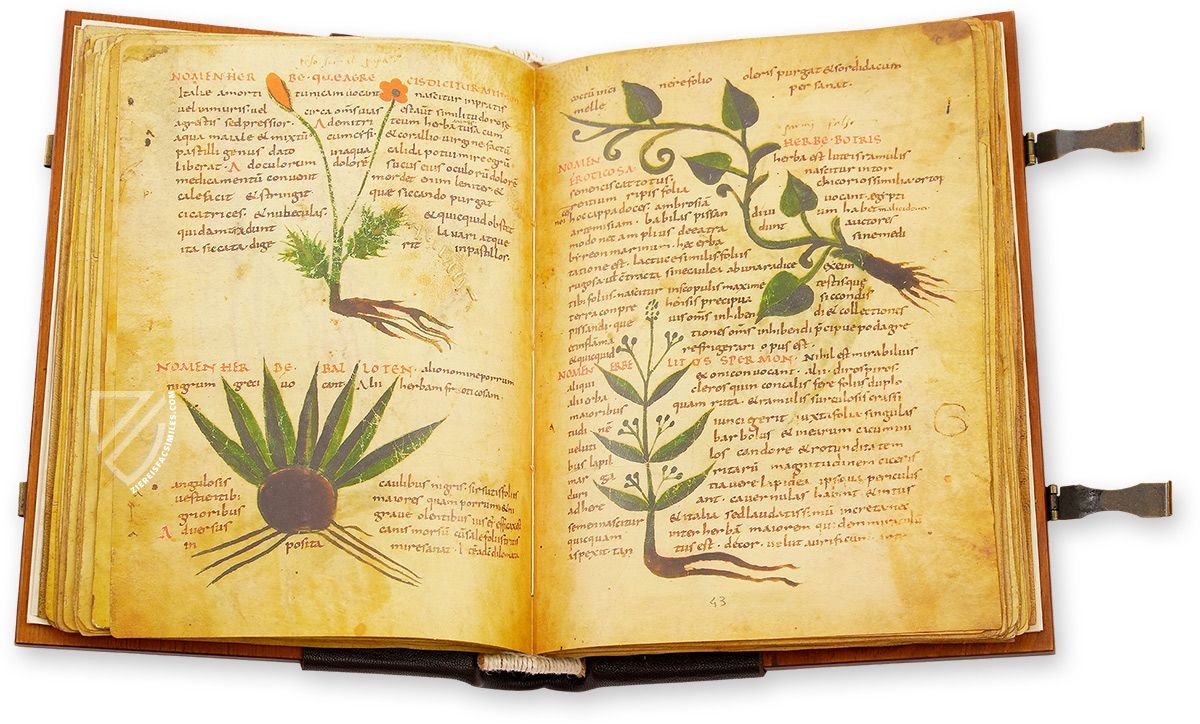 Herbolarium et Materia Medica