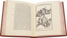 Hieronymus Mercurialis: De Arte Gymnastica – Editions Medicina Rara – Ah VI 1.4 – Universitätsbibliothek Tübingen (Tübingen, Germany)