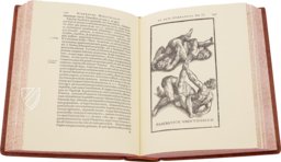 Hieronymus Mercurialis: De Arte Gymnastica – Editions Medicina Rara – Ah VI 1.4 – Universitätsbibliothek Tübingen (Tübingen, Germany)