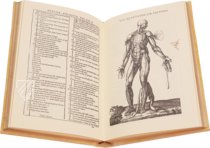 Historia de la Composicion del Cuerpo Humano – Vicent Garcia Editores – D-44bis – Biblioteca Histórico Médica de la Universidad de València (Valencia, Spain)