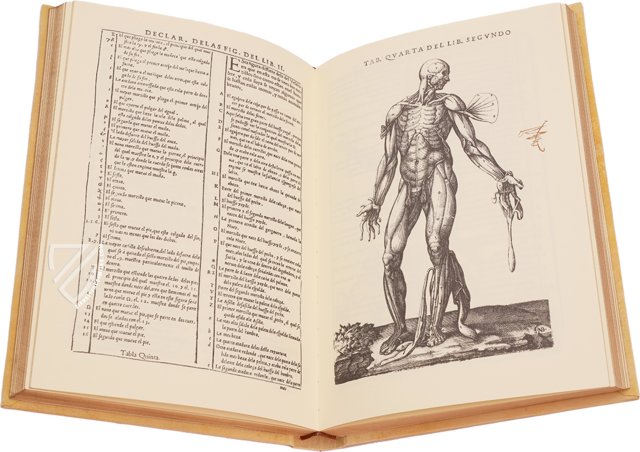 Historia de la Composicion del Cuerpo Humano – Vicent Garcia Editores – D-44bis – Biblioteca Histórico Médica de la Universidad de València (Valencia, Spain)