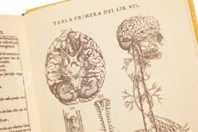 Historia de la Composicion del Cuerpo Humano – Vicent Garcia Editores – D-44bis – Biblioteca Historicomèdica de la Universitat de València (Valencia, Spain) Historia de la Composicion del Cuerpo Humano – Vicent Garcia Editores – D-44bis – Biblioteca Historicomèdica de la Universitat de València (Valencia, Spain)