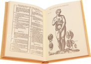 Historia de la Composicion del Cuerpo Humano – Vicent Garcia Editores – D-44bis – Biblioteca Historicomèdica de la Universitat de València (Valencia, Spain) Historia de la Composicion del Cuerpo Humano – Vicent Garcia Editores – D-44bis – Biblioteca Historicomèdica de la Universitat de València (Valencia, Spain)
