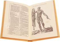 Historia de la Composicion del Cuerpo Humano – Vicent Garcia Editores – D-44bis – Biblioteca Historicomèdica de la Universitat de València (Valencia, Spain) Historia de la Composicion del Cuerpo Humano – Vicent Garcia Editores – D-44bis – Biblioteca Historicomèdica de la Universitat de València (Valencia, Spain)