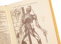 Historia de la Composicion del Cuerpo Humano – Vicent Garcia Editores – D-44bis – Biblioteca Historicomèdica de la Universitat de València (Valencia, Spain) Historia de la Composicion del Cuerpo Humano – Vicent Garcia Editores – D-44bis – Biblioteca Historicomèdica de la Universitat de València (Valencia, Spain)