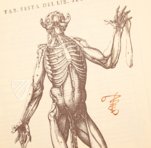 Historia de la Composicion del Cuerpo Humano – Vicent Garcia Editores – D-44bis – Biblioteca Historicomèdica de la Universitat de València (Valencia, Spain) Historia de la Composicion del Cuerpo Humano – Vicent Garcia Editores – D-44bis – Biblioteca Historicomèdica de la Universitat de València (Valencia, Spain)