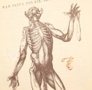 Historia de la Composicion del Cuerpo Humano – Vicent Garcia Editores – D-44bis – Biblioteca Historicomèdica de la Universitat de València (Valencia, Spain) Historia de la Composicion del Cuerpo Humano – Vicent Garcia Editores – D-44bis – Biblioteca Historicomèdica de la Universitat de València (Valencia, Spain)
