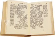 Historia de Yervas, y Plantas, con los Nombres Griegos, Latinos y Españoles – Vicent Garcia Editores – B/198 – Biblioteca Histórico Médica de la Universidad de València (Valencia, Spain)