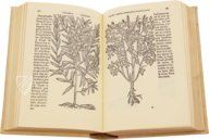 Historia de Yervas y Plantas – Vicent Garcia Editores – B/198 – Biblioteca Historicomèdica de la Universitat de València (Valencia, Spain)