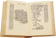 Historia de Yervas y Plantas – Vicent Garcia Editores – B/198 – Biblioteca Historicomèdica de la Universitat de València (Valencia, Spain)