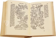 Historia de Yervas y Plantas – Vicent Garcia Editores – B/198 – Biblioteca Historicomèdica de la Universitat de València (Valencia, Spain)