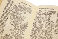Historia de Yervas y Plantas – Vicent Garcia Editores – B/198 – Biblioteca Historicomèdica de la Universitat de València (Valencia, Spain)