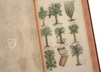 Historia Naturalis: De Arboribus et Fructicibus – Siloé, arte y bibliofilia – Private Collection