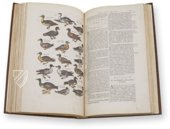 Historia Naturalis: De Avibus – Private Collection Facsimile Edition