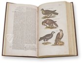 Historia Naturalis: De Avibus – Siloé, arte y bibliofilia – Private Collection