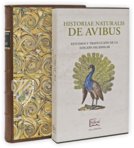 Historia Naturalis: De Avibus – Siloé, arte y bibliofilia – Private Collection