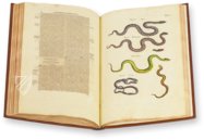 Historia Naturalis: De Exanguibus Acuaticis et Serpentibus – Private Collection Facsimile Edition