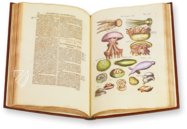 Historia Naturalis: De Exanguibus Acuaticis et Serpentibus – Siloé, arte y bibliofilia – Private Collection