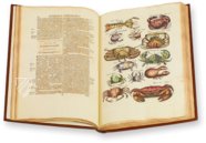 Historia Naturalis: De Exanguibus Acuaticis et Serpentibus – Siloé, arte y bibliofilia – Private Collection