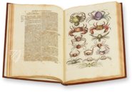 Historia Naturalis: De Exanguibus Acuaticis et Serpentibus – Siloé, arte y bibliofilia – Private Collection