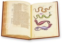 Historia Naturalis: De Exanguibus Acuaticis et Serpentibus – Siloé, arte y bibliofilia – Private Collection