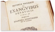 Historia Naturalis: De Exanguibus Acuaticis et Serpentibus – Siloé, arte y bibliofilia – Private Collection