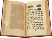 Historia Naturalis: De Insectis – Private Collection Facsimile Edition
