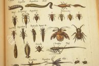 Historia Naturalis: De Insectis – Private Collection Facsimile Edition