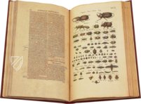 Historia Naturalis: De Insectis – Siloé, arte y bibliofilia – Private Collection