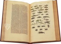 Historia Naturalis: De Insectis – Siloé, arte y bibliofilia – Private Collection