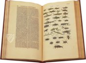 Historia Naturalis: De Insectis – Siloé, arte y bibliofilia – Private Collection