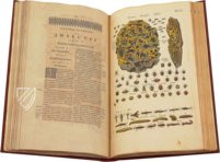 Historia Naturalis: De Insectis – Siloé, arte y bibliofilia – Private Collection