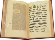 Historia Naturalis: De Insectis – Siloé, arte y bibliofilia – Private Collection