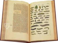 Historia Naturalis: De Insectis – Siloé, arte y bibliofilia – Private Collection