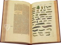 Historia Naturalis: De Insectis – Siloé, arte y bibliofilia – Private Collection