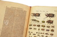 Historia Naturalis: De Insectis – Siloé, arte y bibliofilia – Private Collection