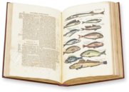 Historia Naturalis: De Piscibus et Cetis – Private Collection Facsimile Edition