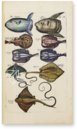 Historia Naturalis: De Piscibus et Cetis – Private Collection Facsimile Edition