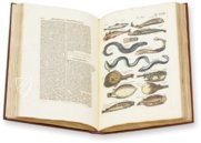 Historia Naturalis: De Piscibus et Cetis – Siloé, arte y bibliofilia – Private Collection
