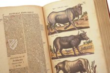 Historia Naturalis: De Quadrupedibus – Private Collection Facsimile Edition