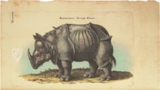 Historia Naturalis: De Quadrupedibus – Private Collection Facsimile Edition