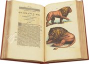 Historia Naturalis: De Quadrupedibus – Siloé, arte y bibliofilia – Private Collection