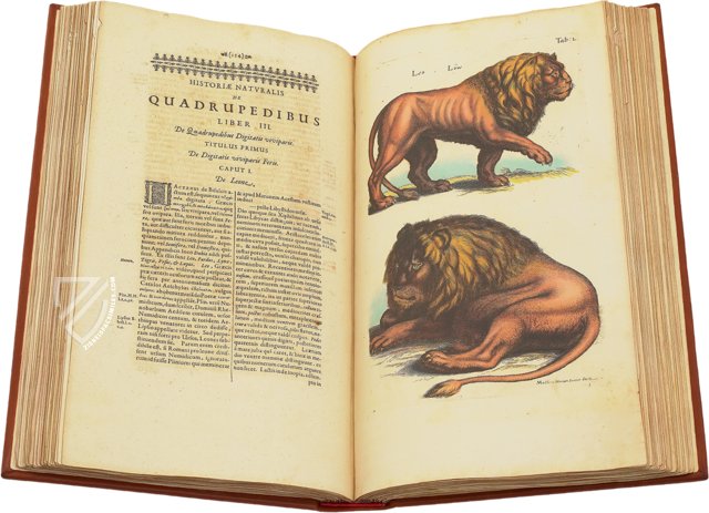 Historia Naturalis: De Quadrupedibus – Siloé, arte y bibliofilia – Private Collection