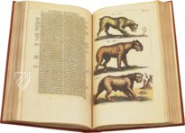 Historia Naturalis: De Quadrupedibus – Siloé, arte y bibliofilia – Private Collection