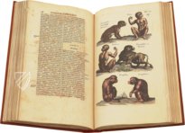 Historia Naturalis: De Quadrupedibus – Siloé, arte y bibliofilia – Private Collection